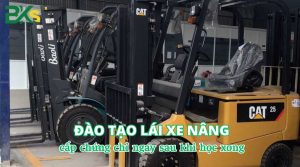 Đào tạo lái xe nâng nhận bang ngay