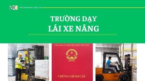 Trường dạy lái Xe Nâng khu vực miền Nam