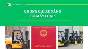 Xe Nâng là gì? Chứng chỉ xe nâng có mấy loại?