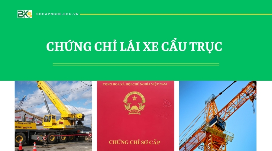 Chứng chỉ Lái cẩu trục