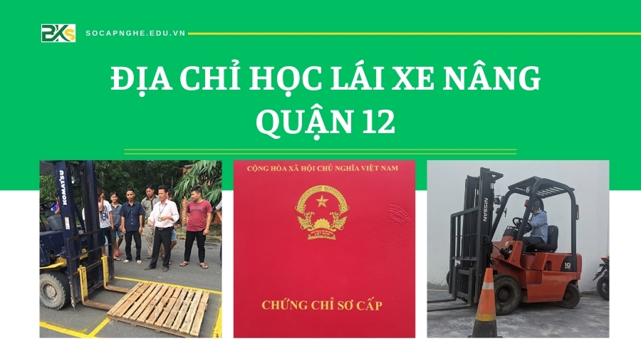 học lái xe Nâng quận 12