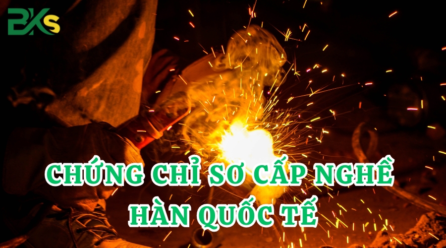 chứng chỉ sơ cấp Hàn Quốc tế