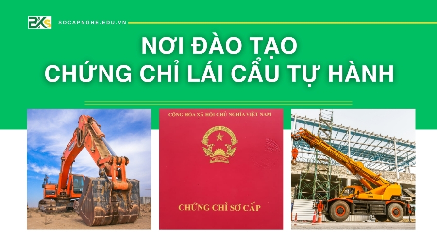 Nơi đào tạo Chứng chỉ Lái xe Cẩu Tự hành