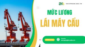Mức lương lái máy cẩu bao nhiêu?