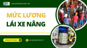 Mức lương lái xe nâng bao nhiêu?