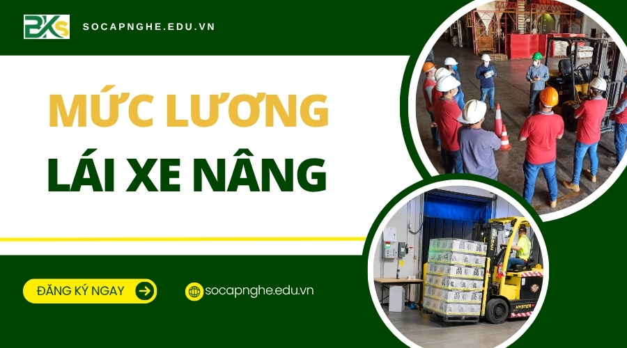Mức lương lái xe nâng bao nhiêu?