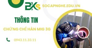 Thông tin Chứng chỉ Hàn MIG 3G
