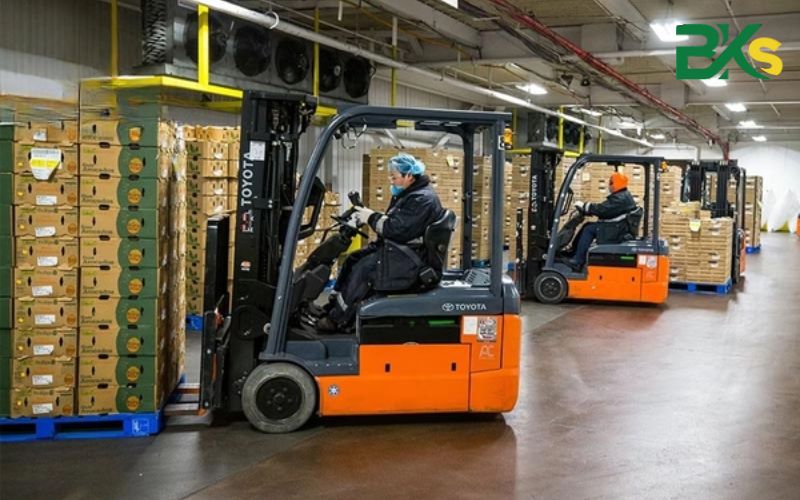 Giá trị của Bằng nghề Lái xe nâng?