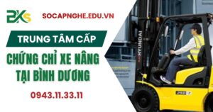 Trung tâm cấp Chứng chỉ xe nâng uy tín tại khu vực Bình Dương