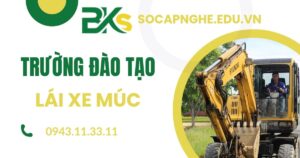 Trường đào tạo Lái xe múc uy tín khu vực TPHCM?