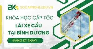 Học Lái xe Cẩu Cấp tốc ở đâu tại Bình Dương?